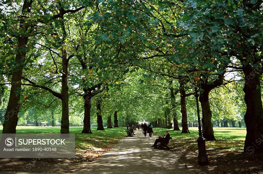 Green Park, London, England, United Kingdom, Europe