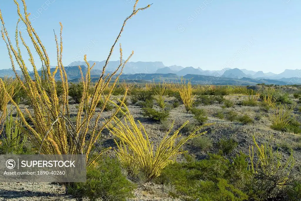 Big Bend National Park, Texas, United States of America, North America