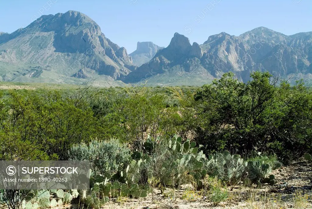 Big Bend National Park, Texas, United States of America, North America