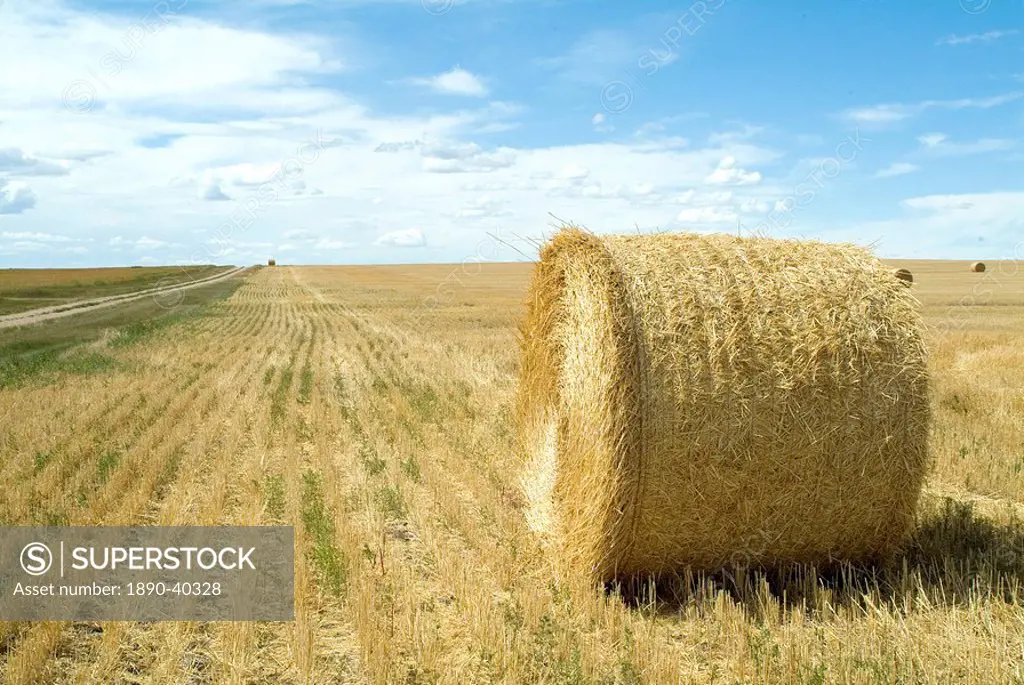 Haystacks, North Dakota, United States of America, North America