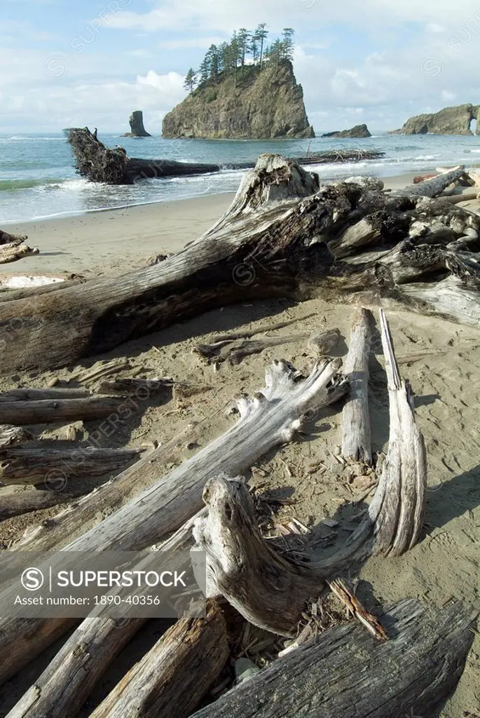 Second Beach, Olympic National Park, UNESCO World Heritage Site, Washington state, United States of America, North America
