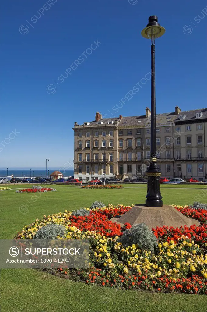 Flower beds at the Royal Crescent, Seafront, Whitby, North Yorkshire, Yorkshire, England, United Kingdom, Europe
