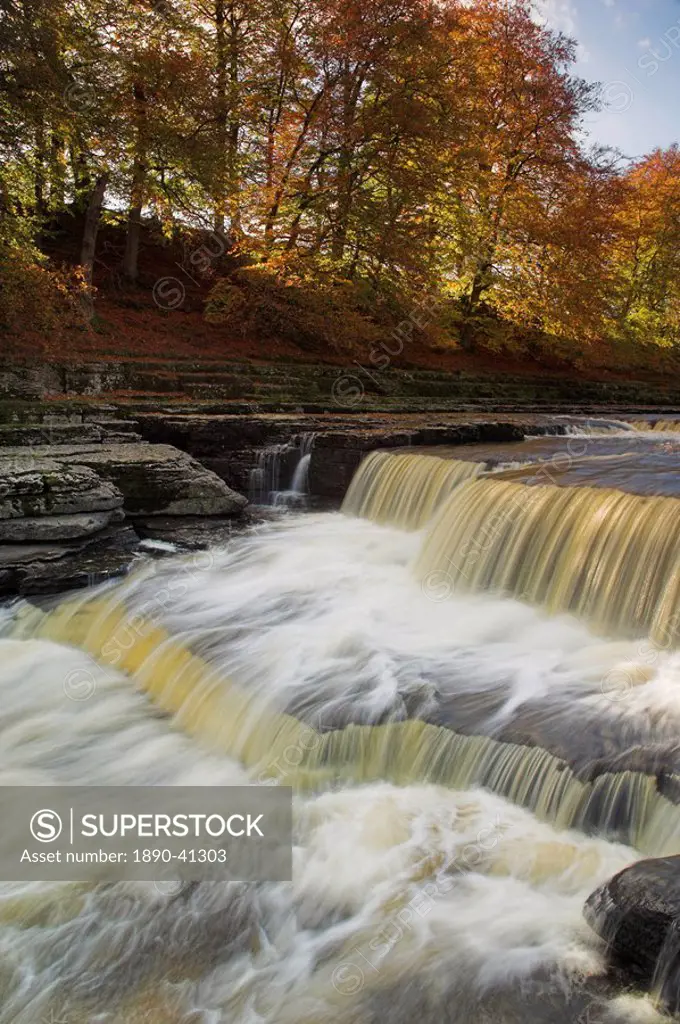 Lower Aysgarth Falls and autumn colours near Hawes, Wensleydale, Yorkshire Dales National Park, Noth Yorkshire, Yorkshire, England, United Kingdom, Eu...