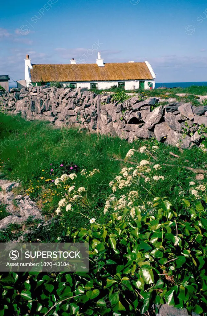 Inishmore Inishmor, Isles of Aran, Eire Ireland, Europe