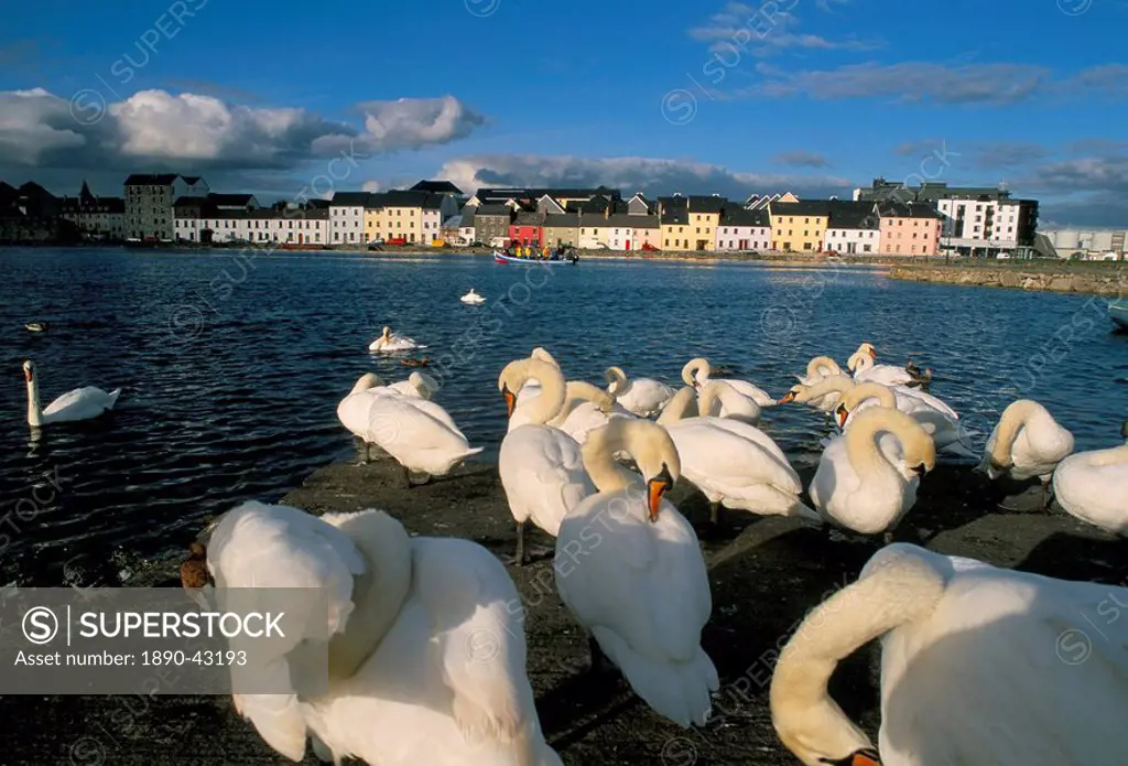 Long Walk view from Claddagh Quay, Galway town, County Galway, Connacht, Eire Ireland, Europe