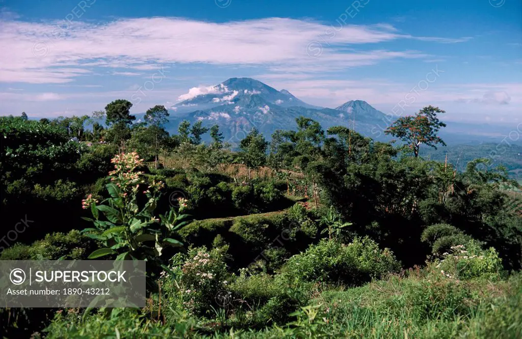 Site of Gedong Songo, island of Java, Indonesia, Southeast Asia, Asia