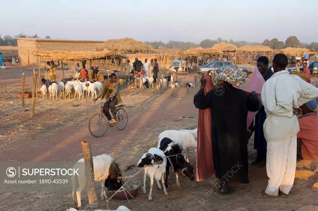 The market, Sikasso, Mali, Africa