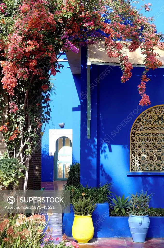 The Majorelle Garden, created by the French cabinetmaker Louis Majorelle, and restored by the couturier Yves Saint_Laurent, Marrakesh, Morocco, North ...