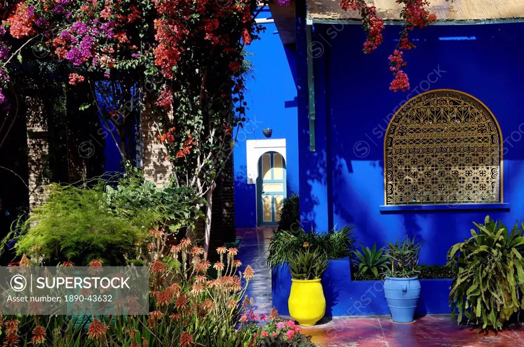 The Majorelle Garden, created by the French cabinetmaker Louis Majorelle, and restored by the couturier Yves Saint_Laurent, Marrakesh, Morocco, North ...
