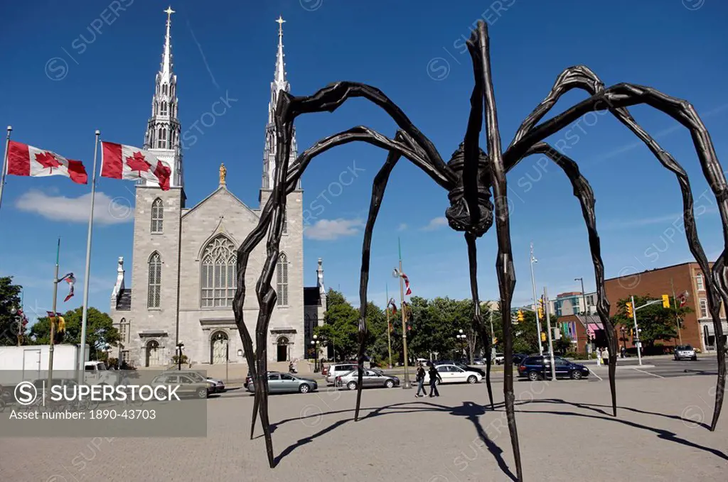 Maman a 21st century bronze sculpture of a spider, 9.25m high with a sac of 26 eggs, by Louis Bourgeois, in front of the Cathedral and Basilica of Not...