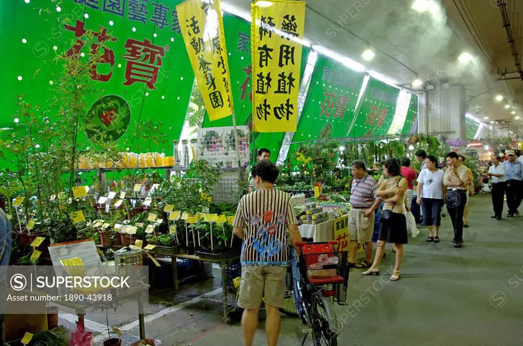 Jian Guo Holiday flower and jade market, Taipei, Taiwan, Republic of China, Asia