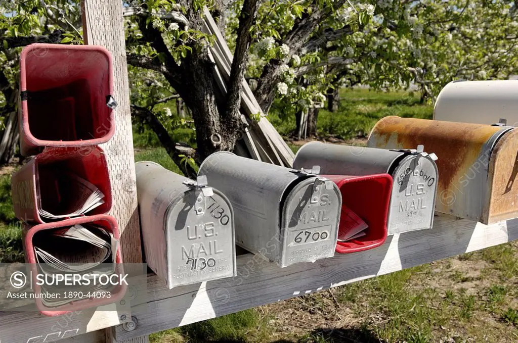 Mailboxes, Manson area, Washington State, United States of America, North America