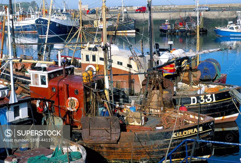 Fishing port of Howth, north of Dublin Bay, County Dublin, Eire Ireland, Europe