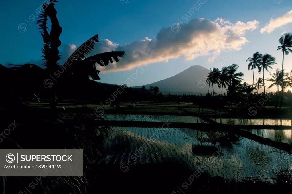 Reflections in water of rice paddies, Amed village, island of Bali, Indonesia, Southeast Asia, Asia