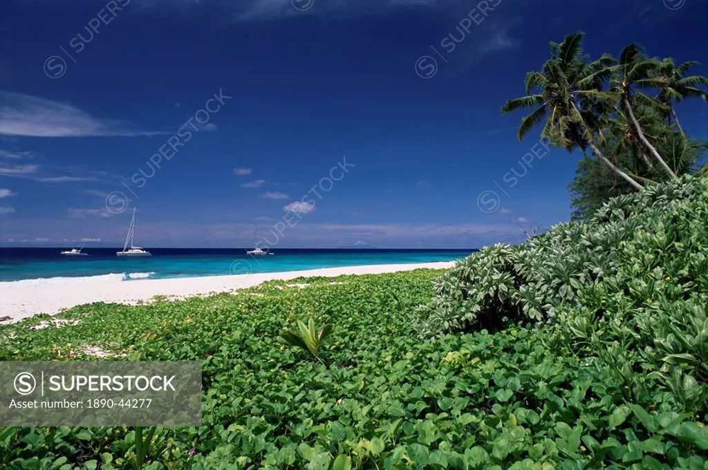 Nature reserve and beach, Ile Aride Aride Island, Seychelles, Indian Ocean, Africa