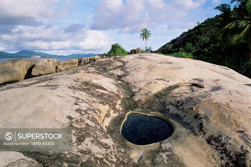 Small pool on rock, Ile Therese Therese island, northwest coast, island of Mahe, Seychelles, Indian Ocean, Africa