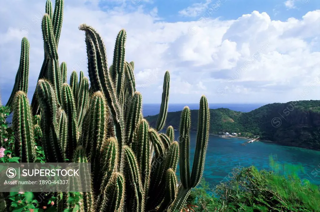 View from Fort Napoleon, Terre_de_Haut, Les Saintes, off Guadeloupe, French Antilles, West Indies, Central America