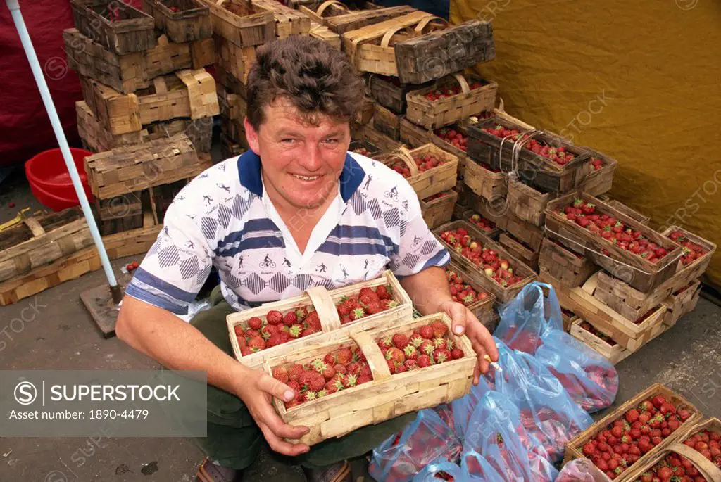 Portrait of a man with punnets of strawberries in the market at Malbork, Pomerania, Poland, Europe