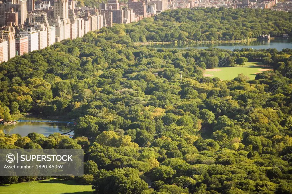 Central Park, Manhattan, New York, United States of America, North America