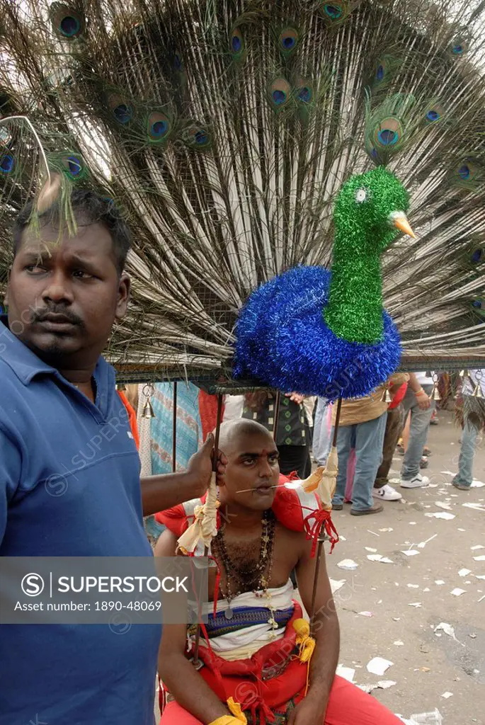 Pilgrims during the Hindu Thaipusam Festival at Sri Subramaniyar Swami Temple, the seated kavadi carrier is in a trance with a needle through his tong...