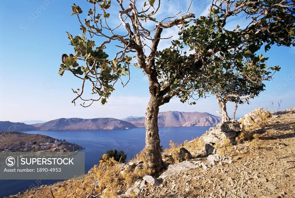 Island of Symi, Dodecanese, Greece, Europe