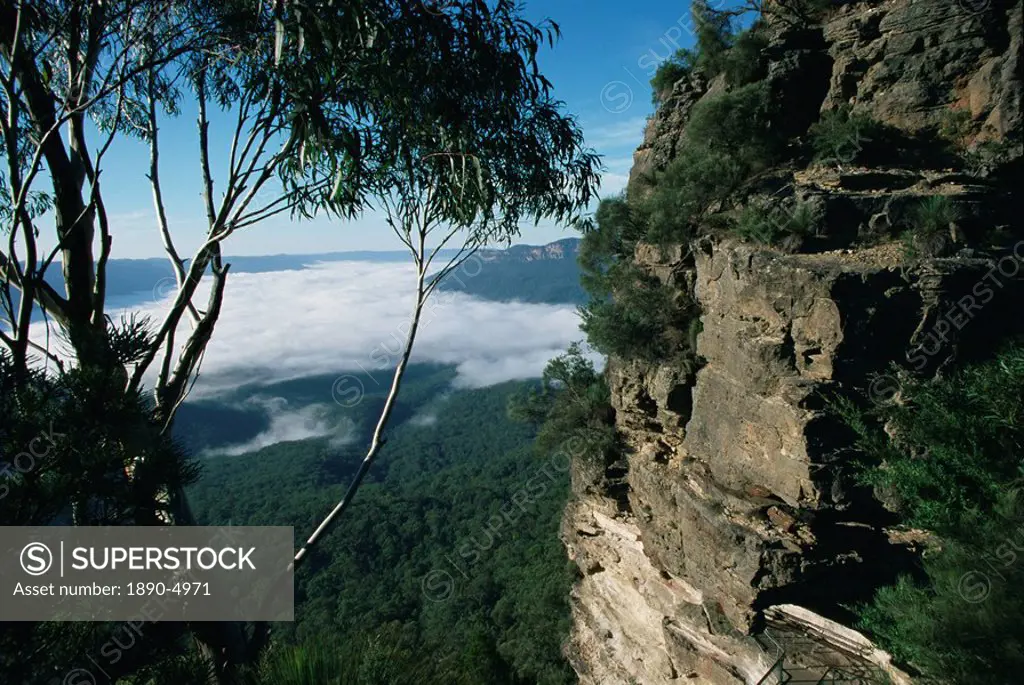 View from the Three Sisters of Jamison valley under fog, Blue Mountains National Park, UNESCO World Heritage Site, New South Wales, Australia, Pacific