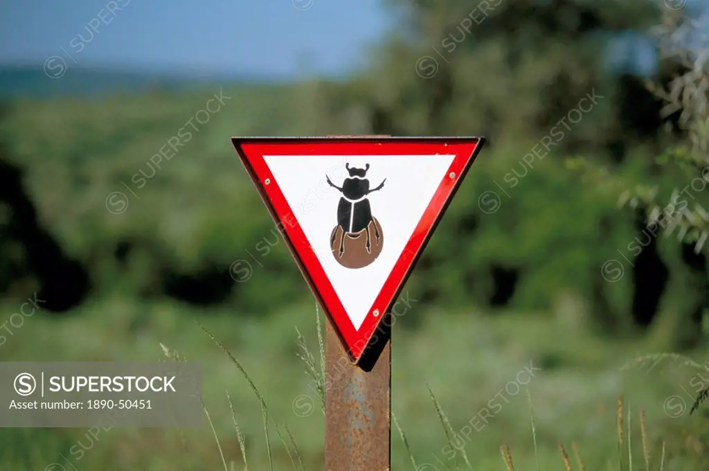 Dung beetle road sign to discourage dung beetle roadkills, Addo National Park, South Africa, Africa