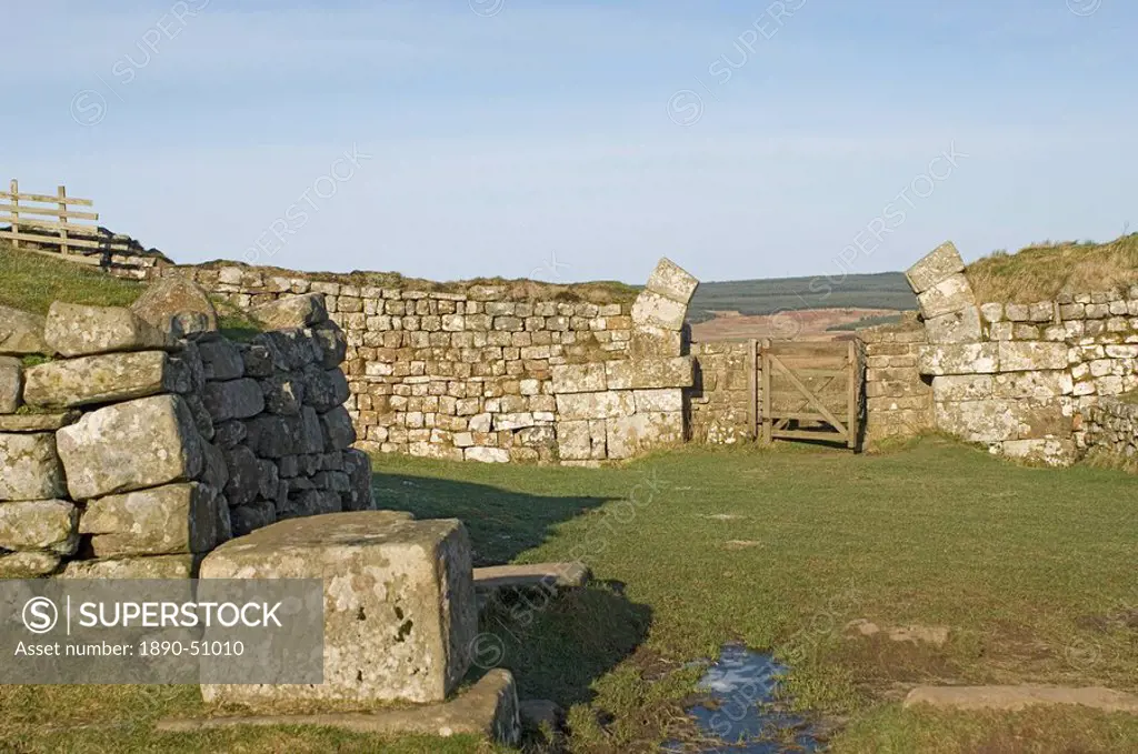 Milecastle 37, with remains of arched gateway, leading out on north side to a steep drop, Roman Wall west of Housesteads, UNESCO World Heritage Site, ...