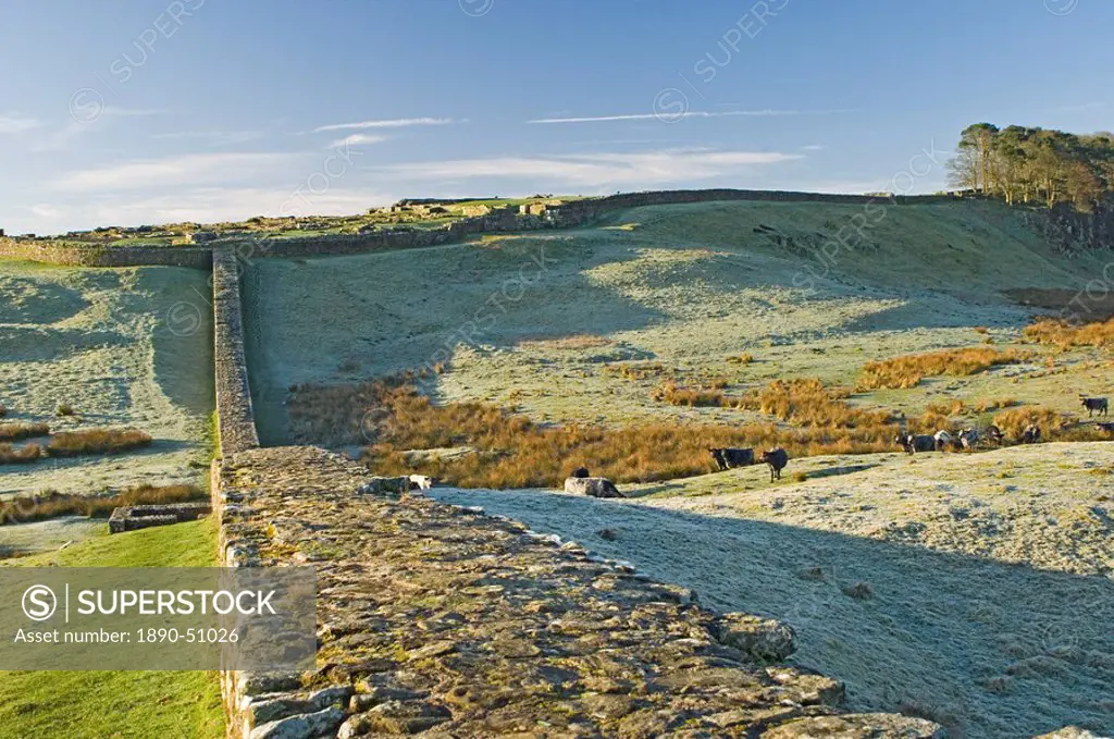 Hadrians Wall and Housesteads Roman Fort, UNESCO World Heritage Site, Northumbria, England, United Kingdom, Europe