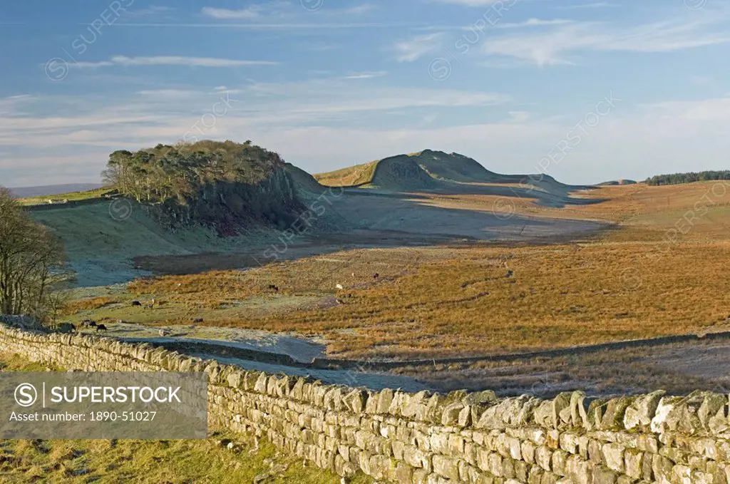 Looking west to Housesteads Wood and Crag, Cuddy and Hotbank Crags, Hadrians Wall, UNESCO World Heritage Site, Northumbria, England, United Kingdom, E...