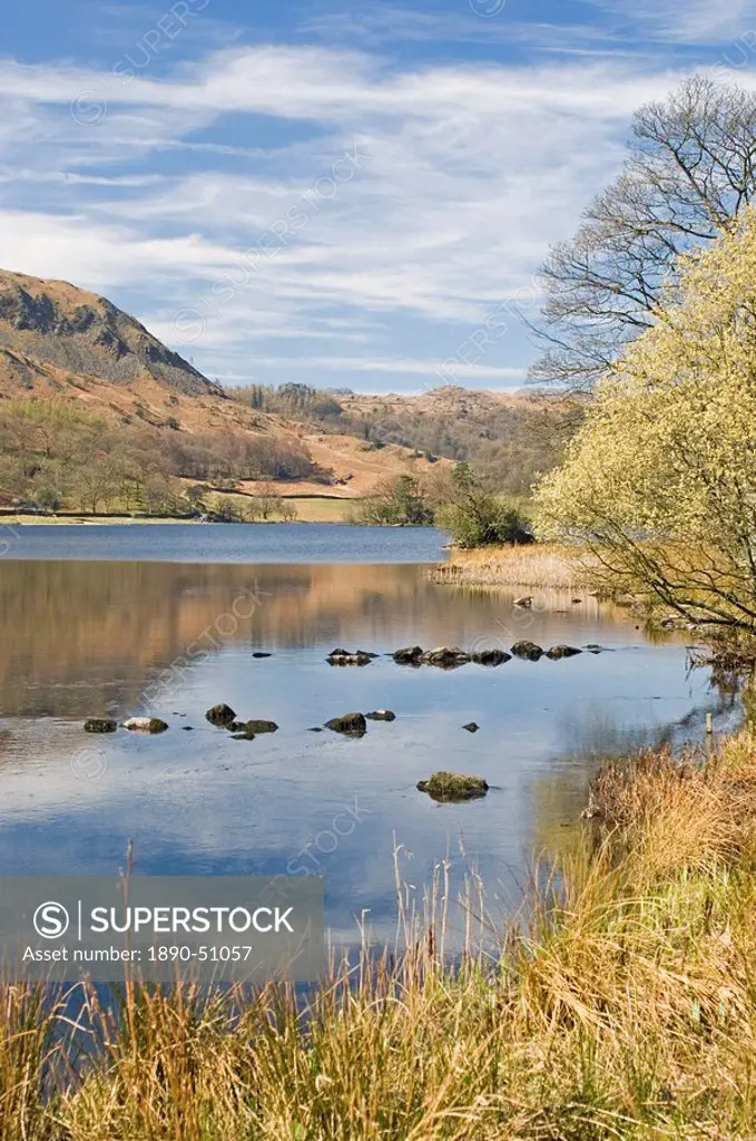 The Wordsworth lake, Rydal Water, Lake District National Park, Cumbria, England, United Kingdom, Europe