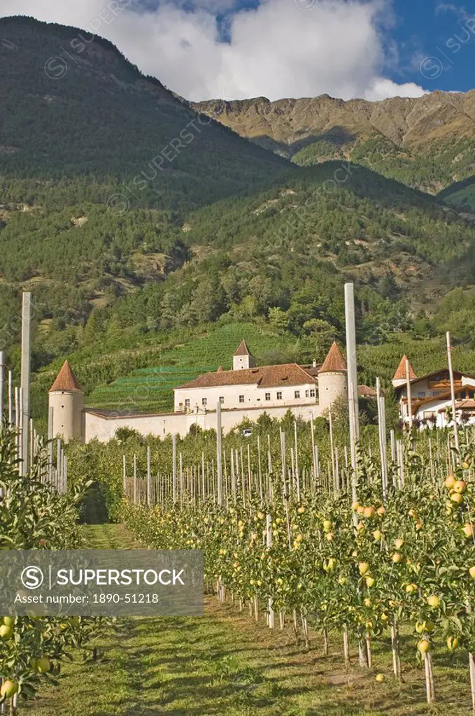 Fortified house surrounded by apple orchards, Coldrano, Venosta valley, Western Dolomites, Italy, Europe