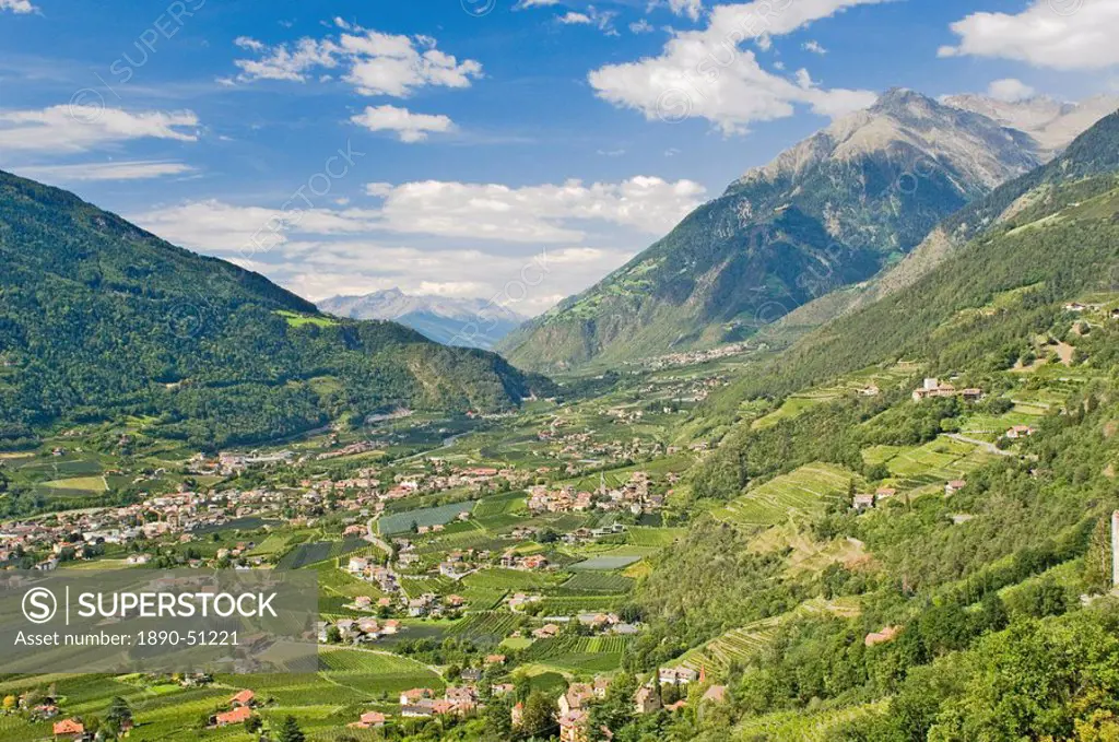 View from Dorf Tyrol over Merano, apple orchards, and the valley towards Reschen Pass and Austria, Western Dolomites, Italy, Europe