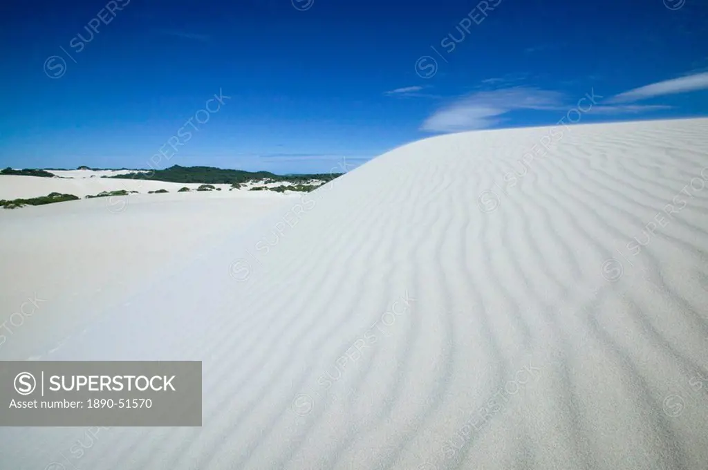 Little Sahara, Kangaroo Island, South Australia, Australia, Pacific