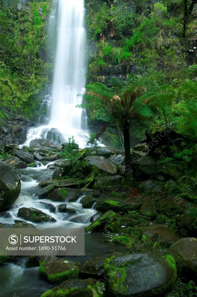 Erskine Falls, waterfall in the rainforest, Great Ocean Road, South Australia, Australia, Pacific