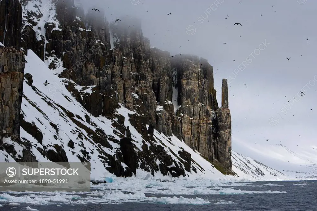 Bird Cliff, Bruennich´s guillemots Uria lomvia, Spitsbergen, Svalbard, Norway, Scandinavia, Europe