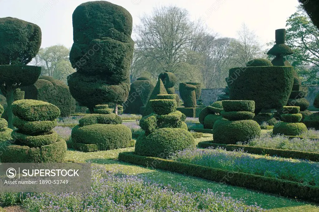 Topiary, Levens Hall, Cumbria, England, United Kingdom, Europe