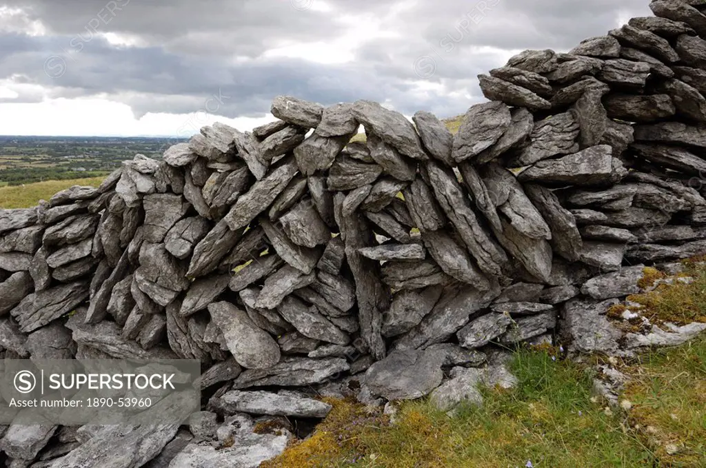 Dry stone wall on The Burren, County Clare, Munster, Republic of Ireland, Europe