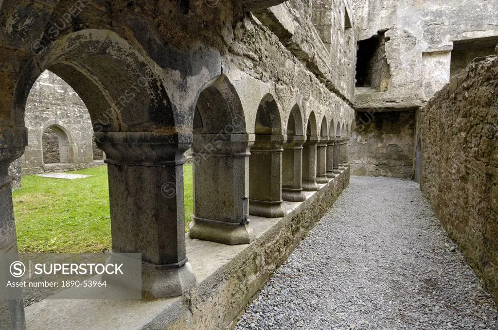 Cloister, Ross Errilly Franciscan Friary, near Headford, County Galway, Connacht, Republic of Ireland, Europe