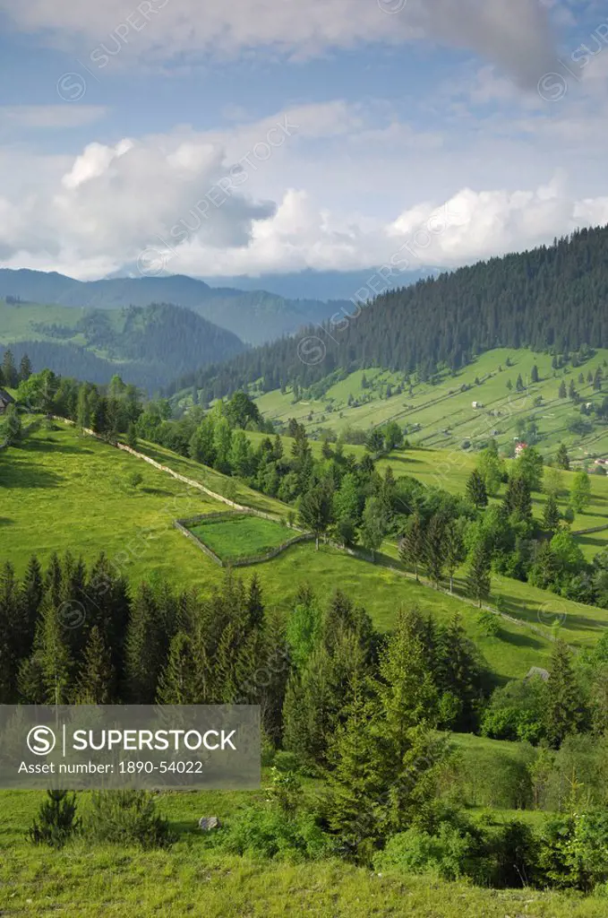 Carpathian mountains of Moldavia and Southern Bucovina, north of Campulung Moldovenesc, Romania, Europe