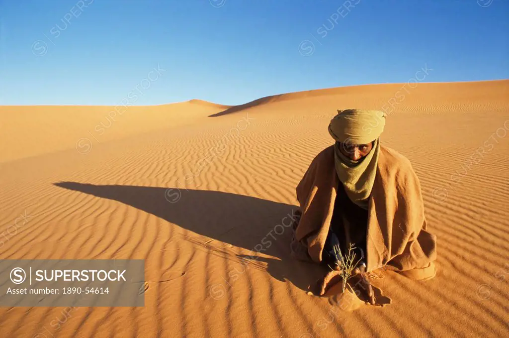 Akakus area, Southwest desert, Libya, North Africa, Africa