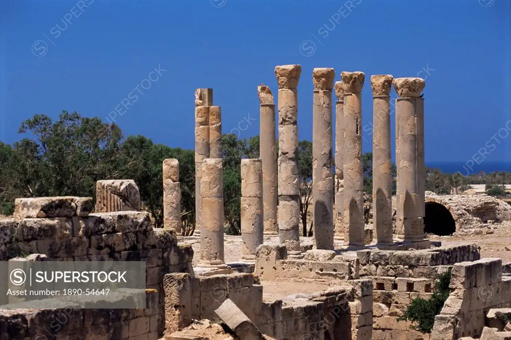 Palace columns, Tolemaide Ptolemais, Cyrenaica, Libya, North Africa, Africa