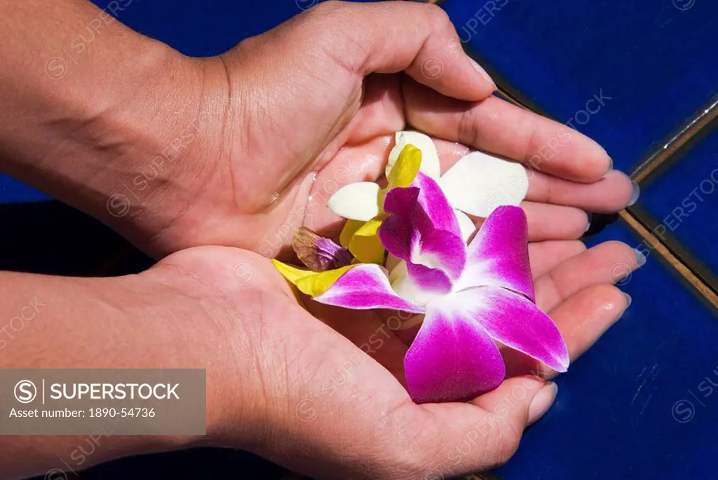 Hands and flowers, Thailand, Southeast Asia, Asia