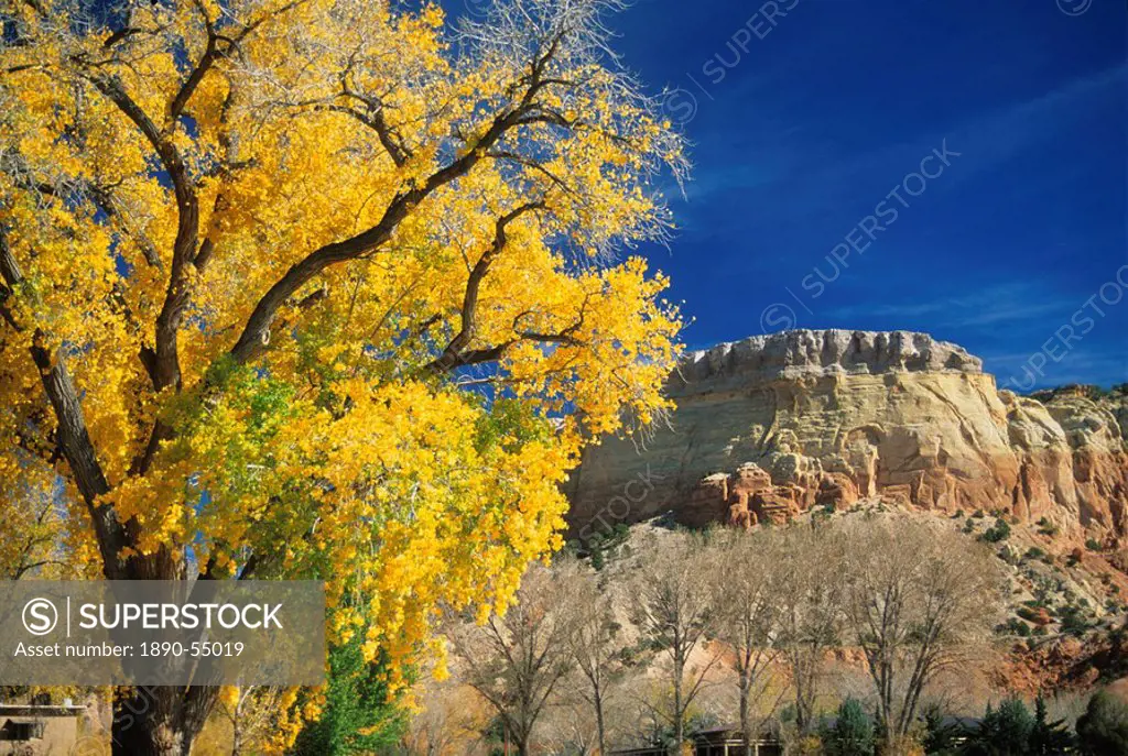 Cottonwood, Rio Arriba County, New Mexico, United States of America, North America