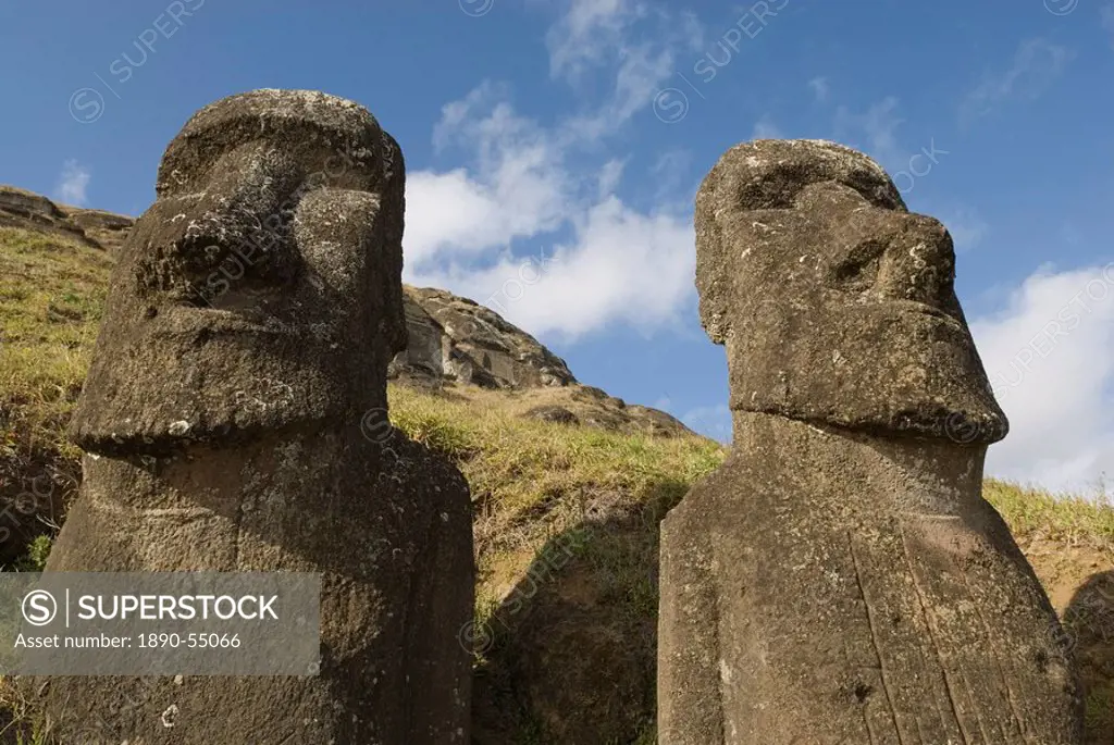 Moai quarry, Rano Raraku Volcano, UNESCO World Heritage Site, Easter Island Rapa Nui, Chile, South America