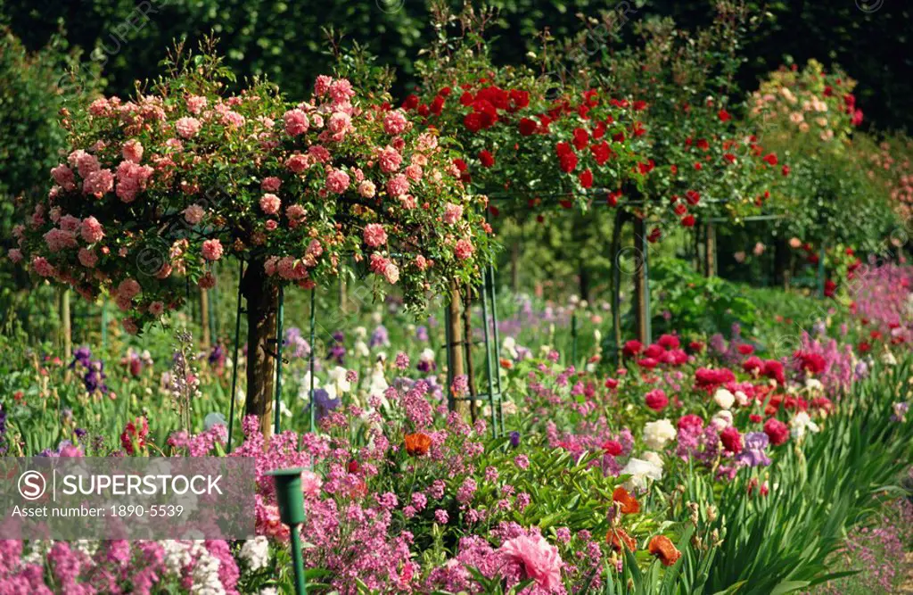 Monet´s garden, Giverny, Haute Normandie, France, Europe