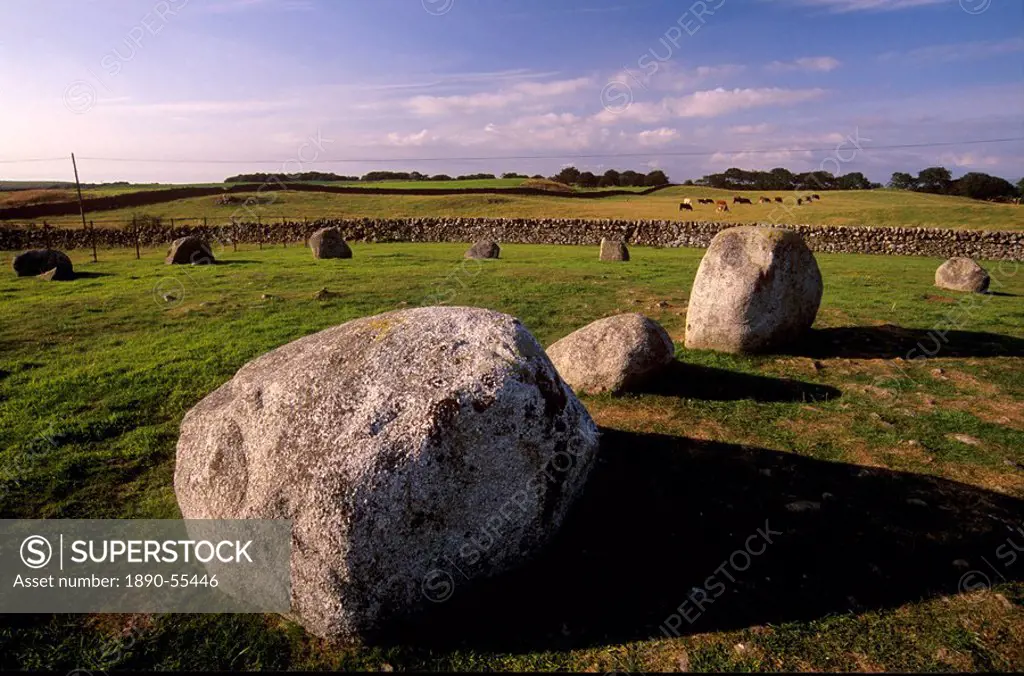 Torhouskie Stone Circle dating from Neolithic times, near Wigtown, Galloway, Dumfries and Galloway, Scotland, United Kingdom, Europe