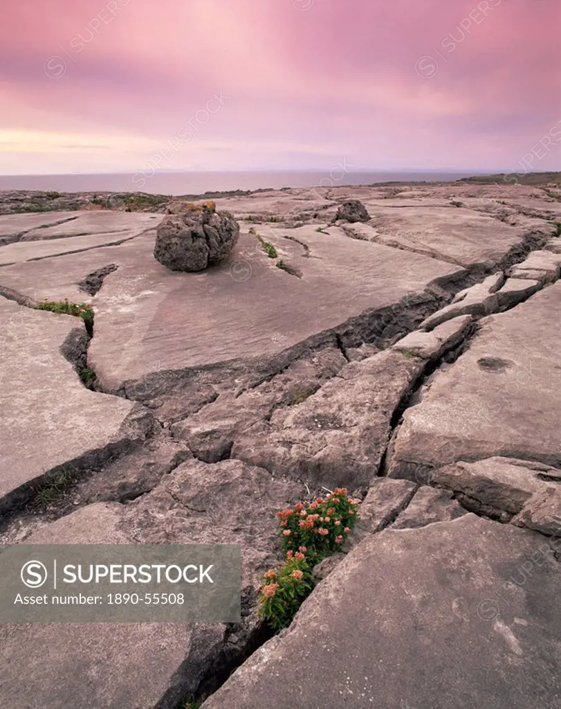 Limestone rocks near the sea at sunset, The Burren, County Clare, Munster, Republic of Ireland Eire, Europe