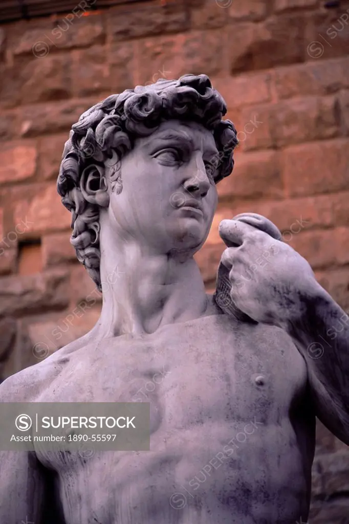 Michelangelo´s David, Piazza della Signoria, Florence, Tuscany, Italy, Europe