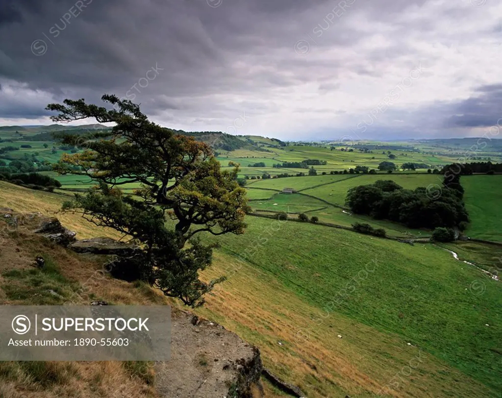 Landscape near Austwick, Yorkshire Dales National Park, Yorkshire, England, United Kingdom, Europe